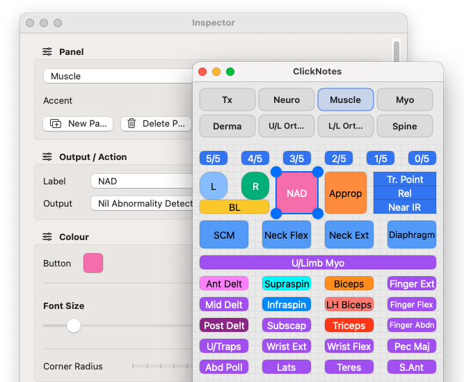 ClickNotes panel being customised