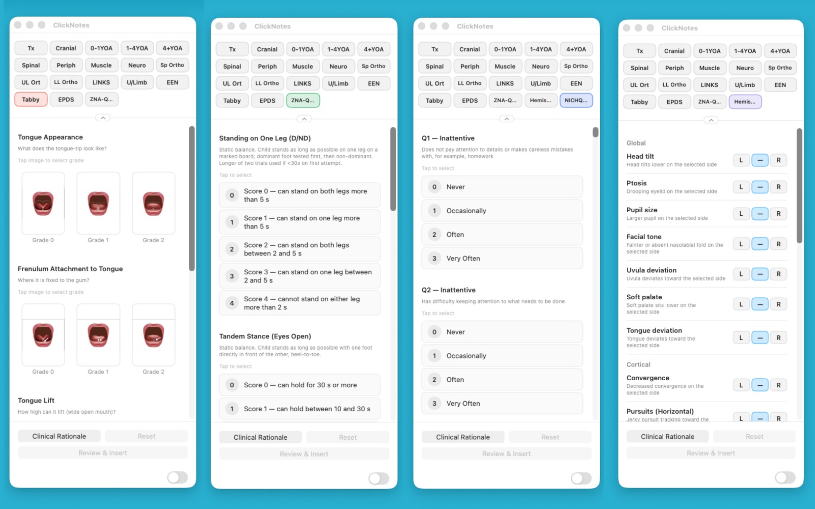 Hemisphericity interactive panel in ClickNotes